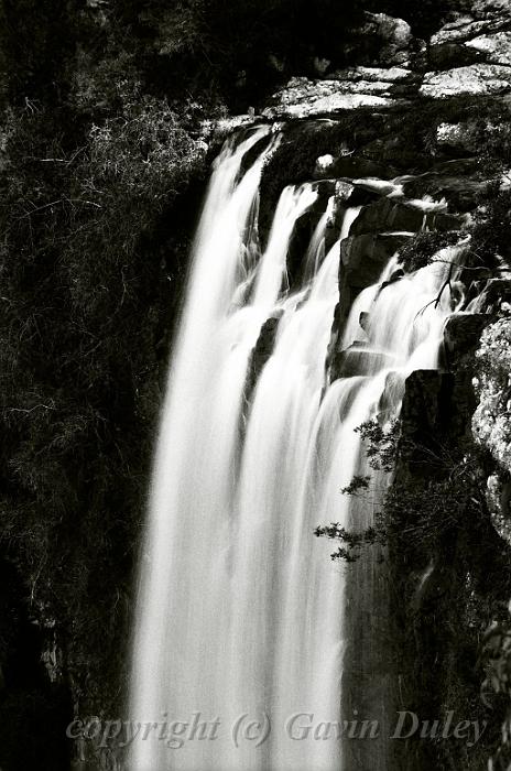 Waterfall, Springbrook 63470012.JPG